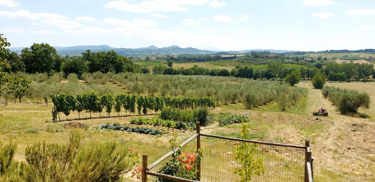Casina Di Pacina Villa Abbadia di Montepulciano Ngoại thất bức ảnh